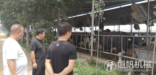鄭州恒帆機械為溫縣客戶實地規(guī)劃年產三萬噸牛糞有機肥生產線項目(圖1) 鐘經理在客戶的帶領下參觀牛養(yǎng)殖場